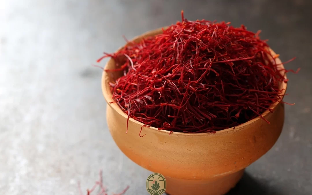 Everything you need to know about planting saffron!